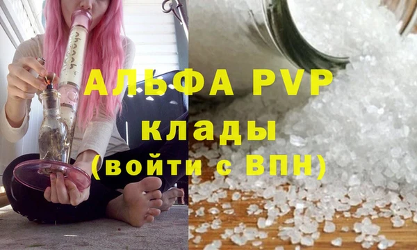 СК Магадан
